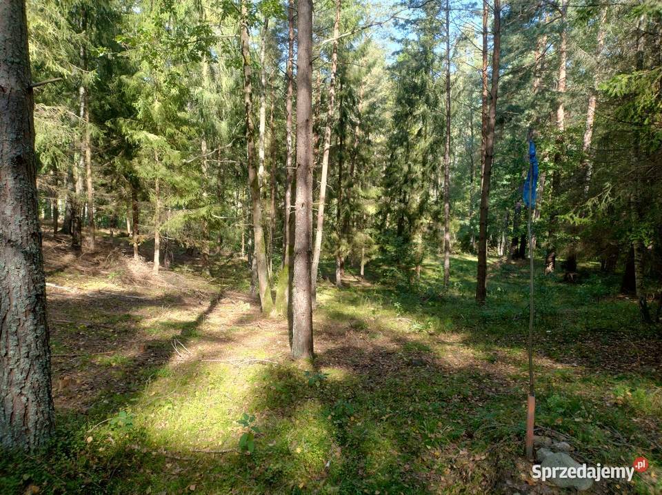 Piękna Działka leśna jeziora Świetajno 120zł/m2
