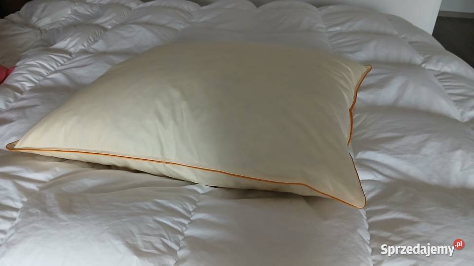 Poduszka 70x80 17 puch I pierze gesie 100 Poznań