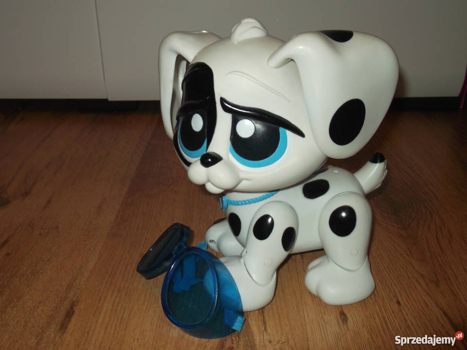 Interakytywny piesek chodzi i pływa Tczew