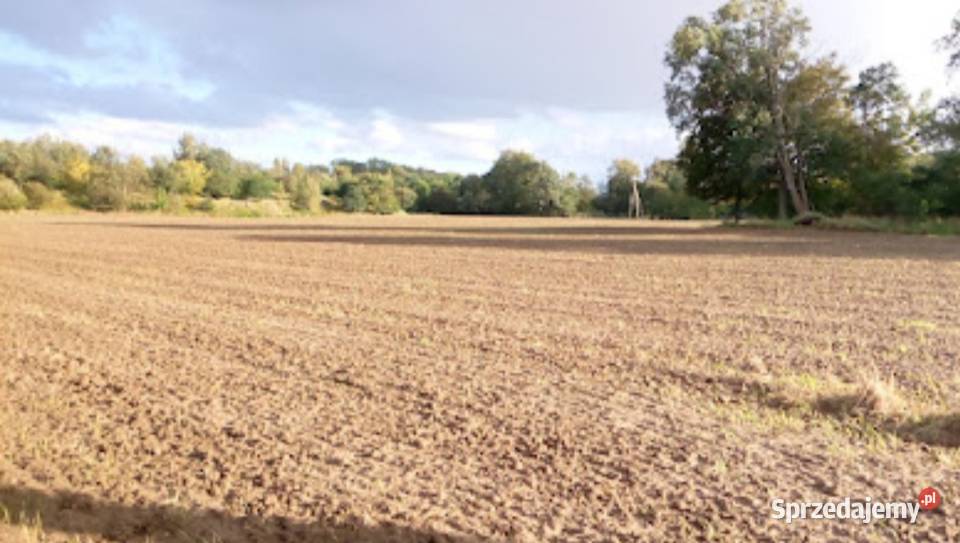Grunty rolne pod uprawę WrocławWidawa Przepiękny Wrocław