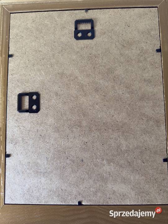 Antyczny Miedzioryt Rycina Grafika Eusebe śląskie Czerwionka-Leszczyny sprzedam