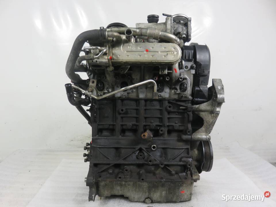 SILNIK SEAT LEON II 19 TDI 105 BXE 038130073AG sprzedam