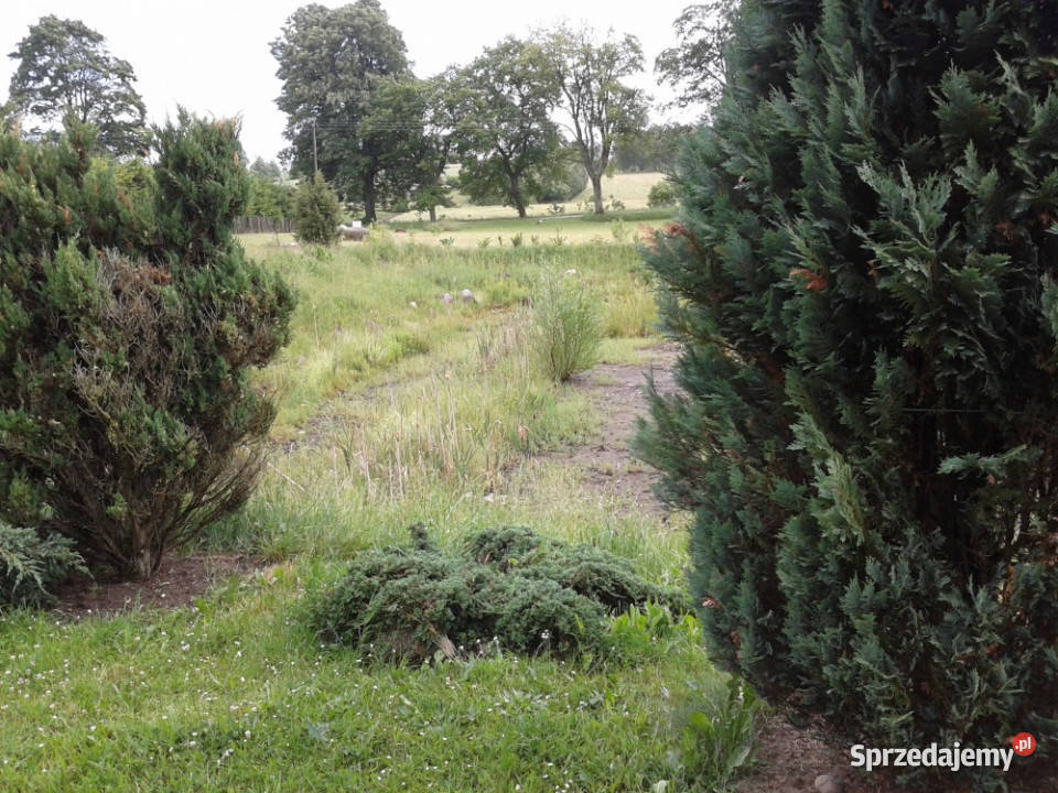 KASZUBY DZIAŁKA UZBROJONA WARUNKI ZABUDOWY Skrzydłowo