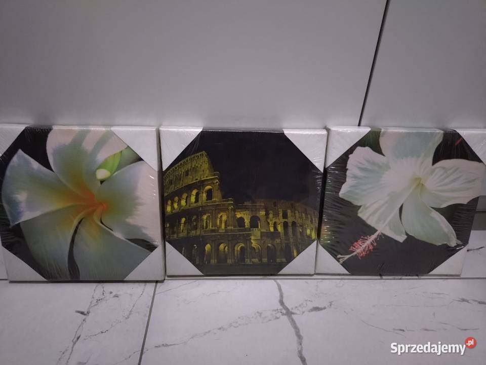 Obrazki na ścianę wielkopolskie Poznań sprzedam