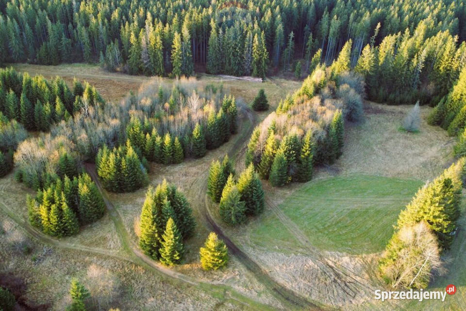DZIAŁKI ROLNE SPRZEDAŻ DZIANISZ SKŁADZISKA rolna małopolskie sprzedam