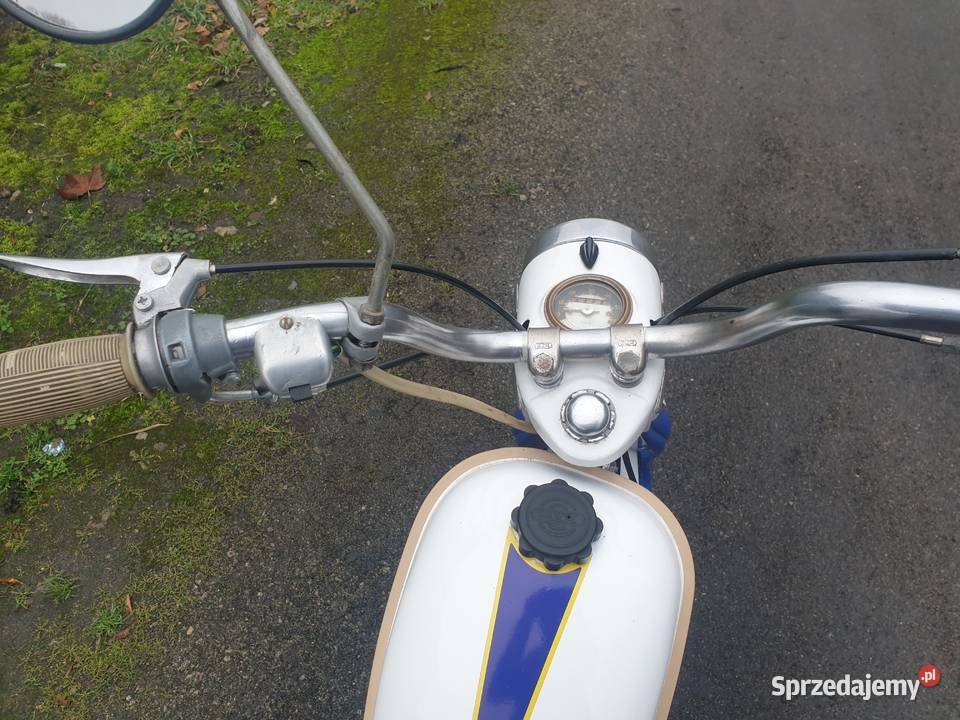 Komar sztywniak 2320 Stargard