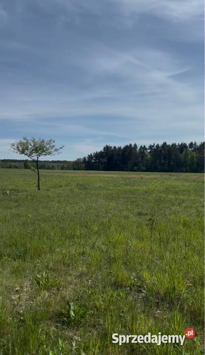Działka Płazów Roztocze Sprzedaż
