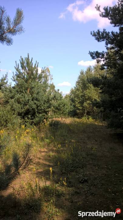 Działka Rolna położona w otulinie Bolimowskiego Grunty i działki Sokule