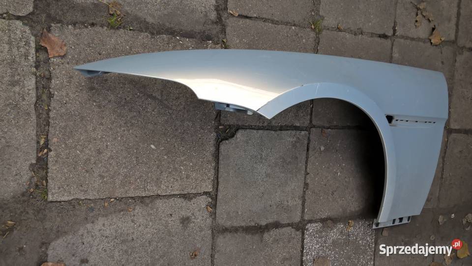 Bmw 6 e63 e64 błotnik przedni przod lewy srebrny Błotniki Łódź