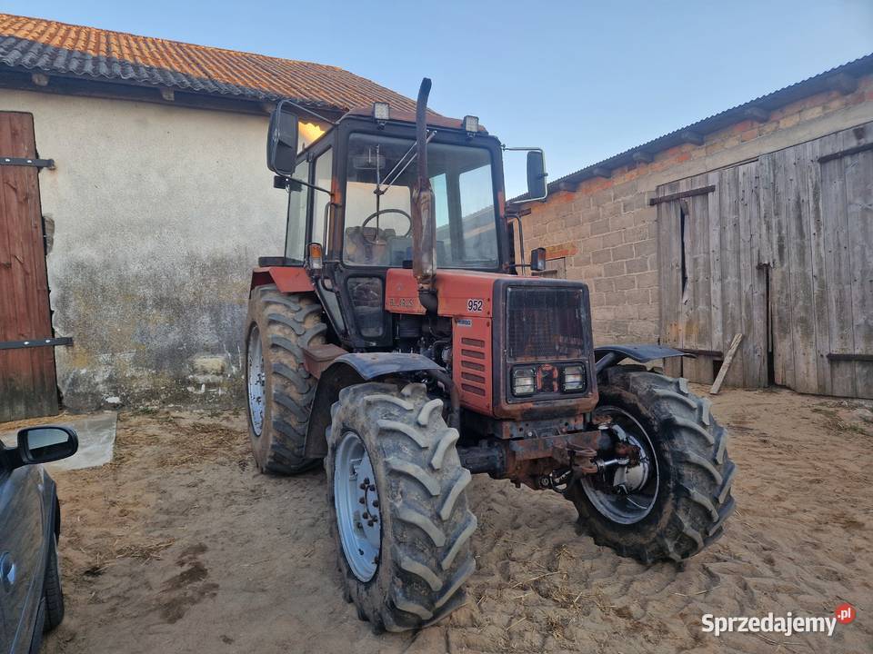 Sprzedam ciągnik Belarus 952 export Sierakowice