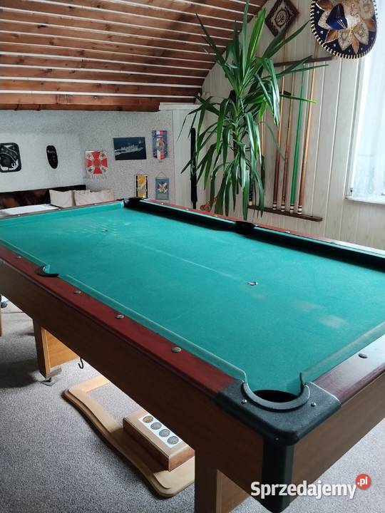 mam pokój do wynajęcia na Opener Festival