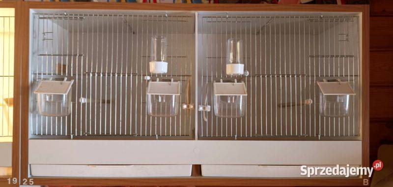 Klatka ptaków śląskie