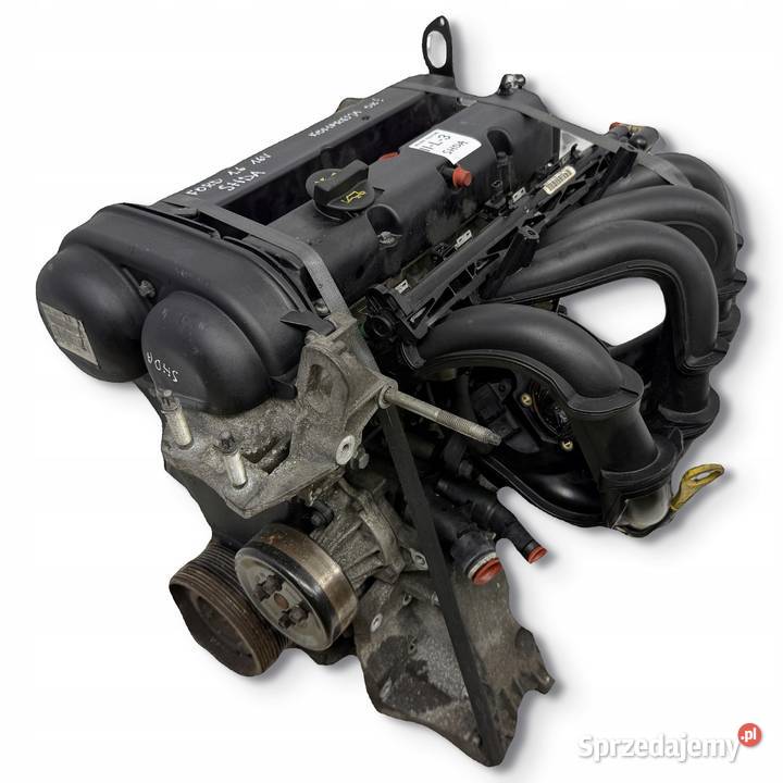SILNIK SHDA SHDB Ford Focus II MK2 C C 16 16V