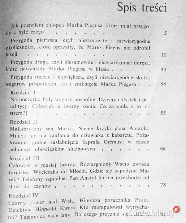 Niewiarygodne przygody Marka Piegusa Edmund Chełm