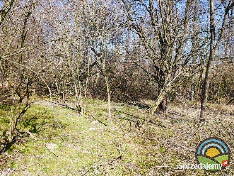 Niegoszowice gm Zabierzów działka 186 arowa w 18600m2 małopolskie