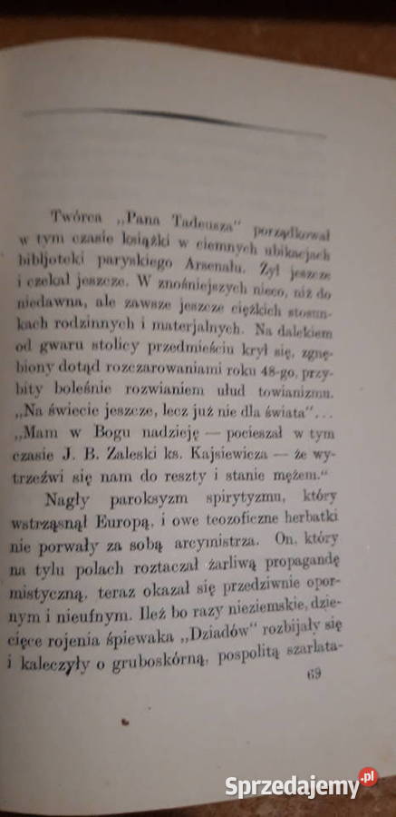 POD ROKIEM ZASWIATÓW S WASYLEWSKILwów 1923 Iwno sprzedam