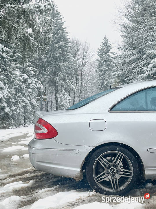 MercedesBenz CLK 500 Dukla