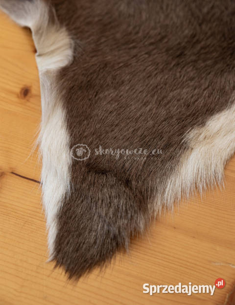 Skóra z kozy kozia skóra kozia skóra dekoracyjna Skóry małopolskie Szaflary