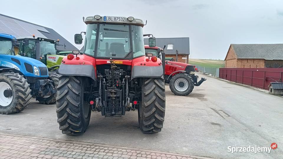 Massey Ferguson 6480 Massey Ferguson Żabno