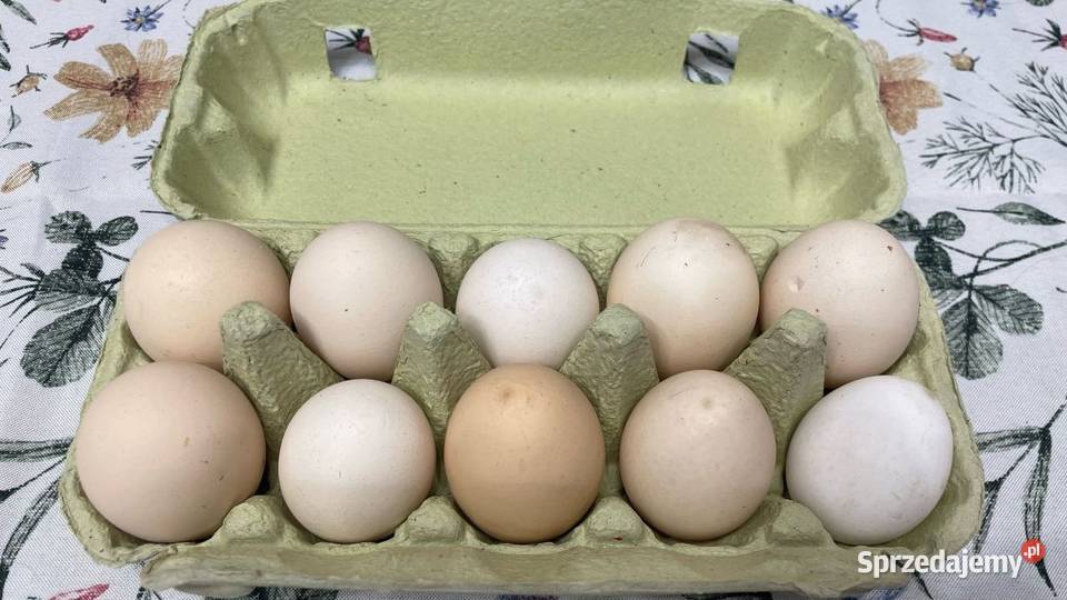 Jajka wiejskie z własnego gospodarstwa Jaja Podegrodzie