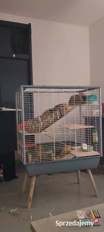 Klatka Jedlina-Zdrój