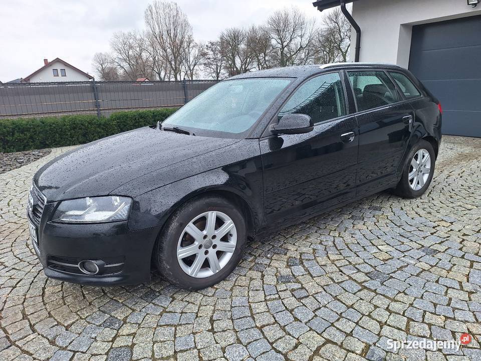 Audi A3 8P 16 tdi 105 2011r sprowadzony Bielawa