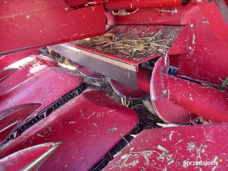 Przystawka do kukurydzy 8 Case Holland ładna Biskupice