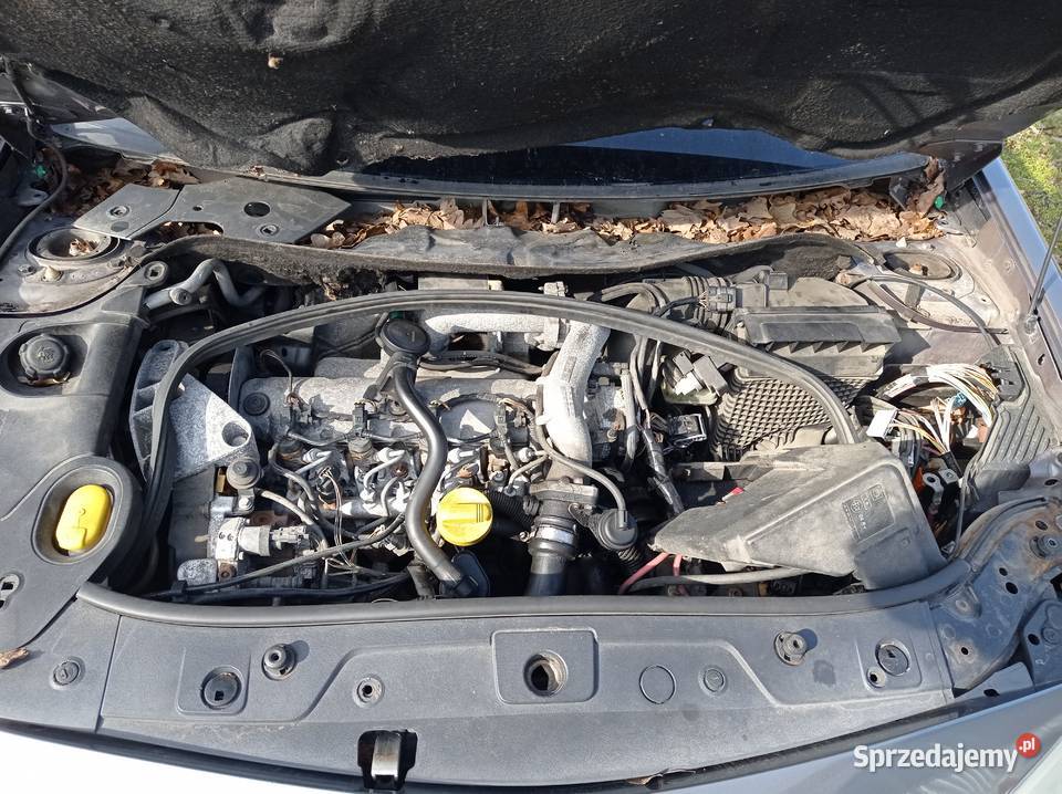 Renault Megane 19 kombi 88 kW 2004 r dawca