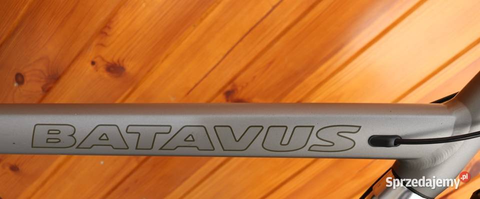 Rower damski Batavus Dins Da gH 65 I inne rowery Milanówek