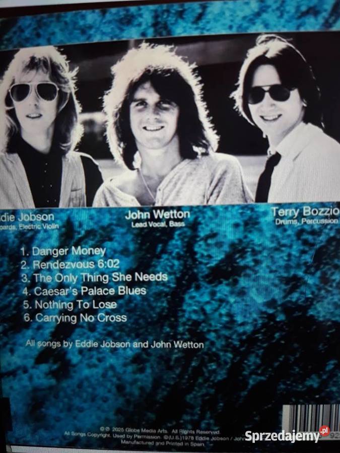 Archiwum Prog Rocka UK Danger Money 1979 Płyty i kasety Rzeszów