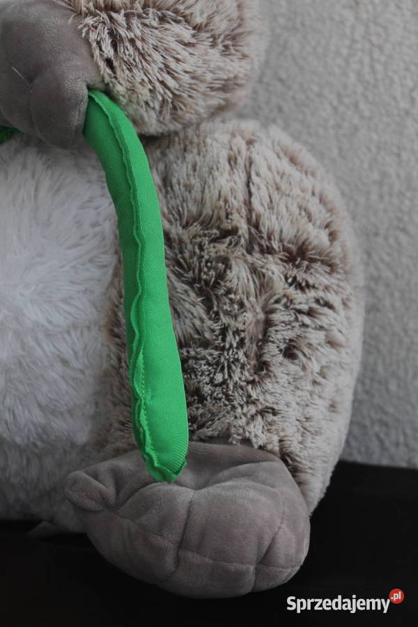 Duża Koala z eukaliptusem Maskotka Pluszak Katowice