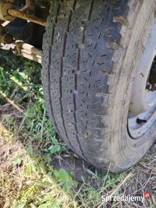 5 kół do żuka wielkopolskie
