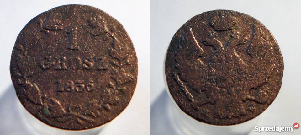 SAP 1 Grosz 1836 piękny Kraków sprzedam