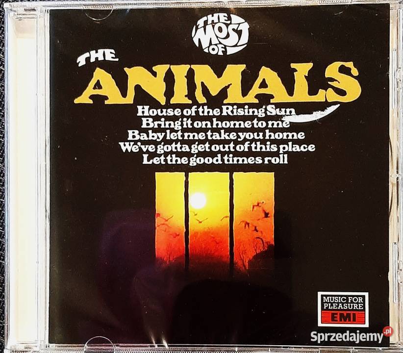 Kultowy Album CD ANIMALS The Most Of CD Płyty i kasety Łódź