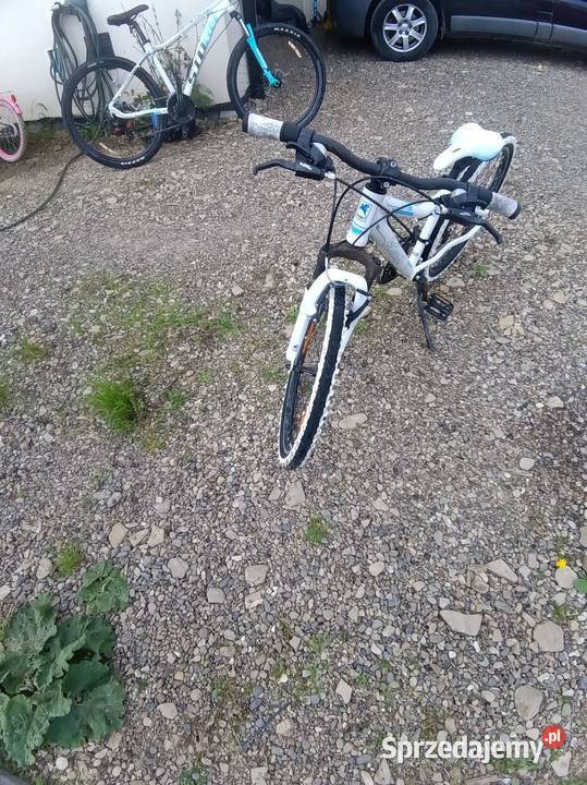 Rower dziecięcy Romet kolejne 24 Buszkowiczki