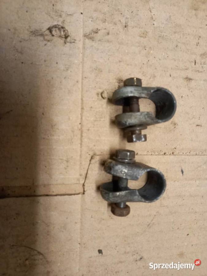 Cybanty zak ryś Sokołów Podlaski sprzedam