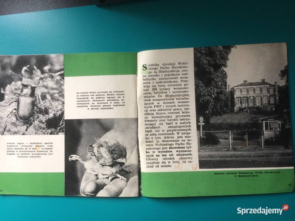 3479 Woliński Park Narodowy Szczecin