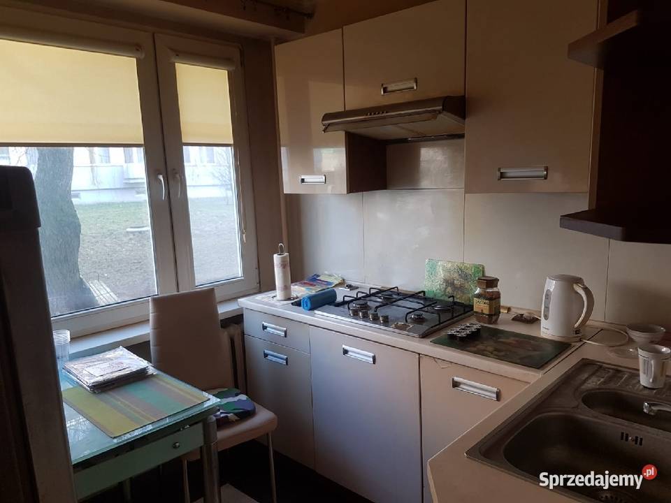 Sprzedam mieszkanie w bloku 3 pokoje parter łódzkie Żychlin