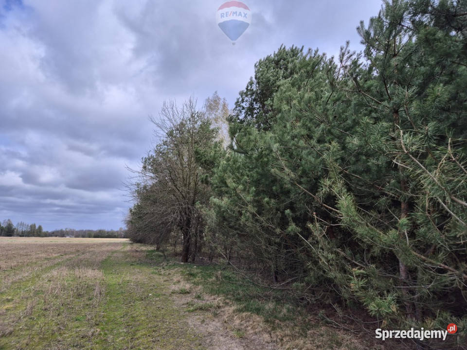 2z5 Działka budowlana 1434 m2 Kuklówka Radz 29m Kuklówka Radziejowicka sprzedam