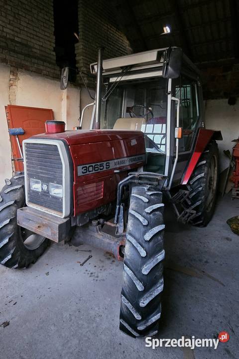 Sprzedam Ciągnik Massey Ferguson 3065S Skrzynia biegów Manualna kujawsko-pomorskie Wtelno