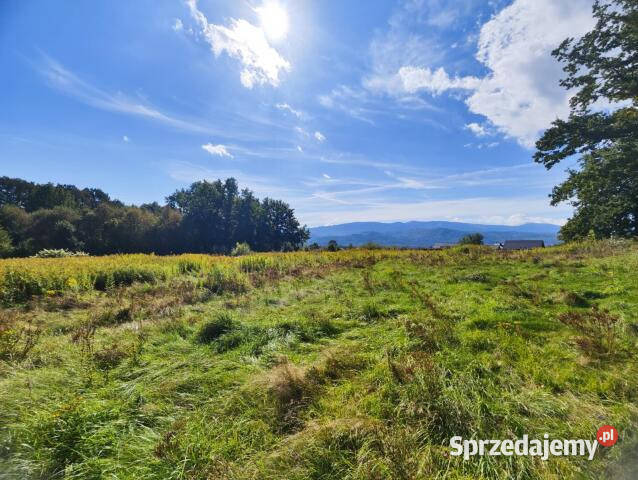 sprzedaży ziemi Wojcieszyce 1350m2