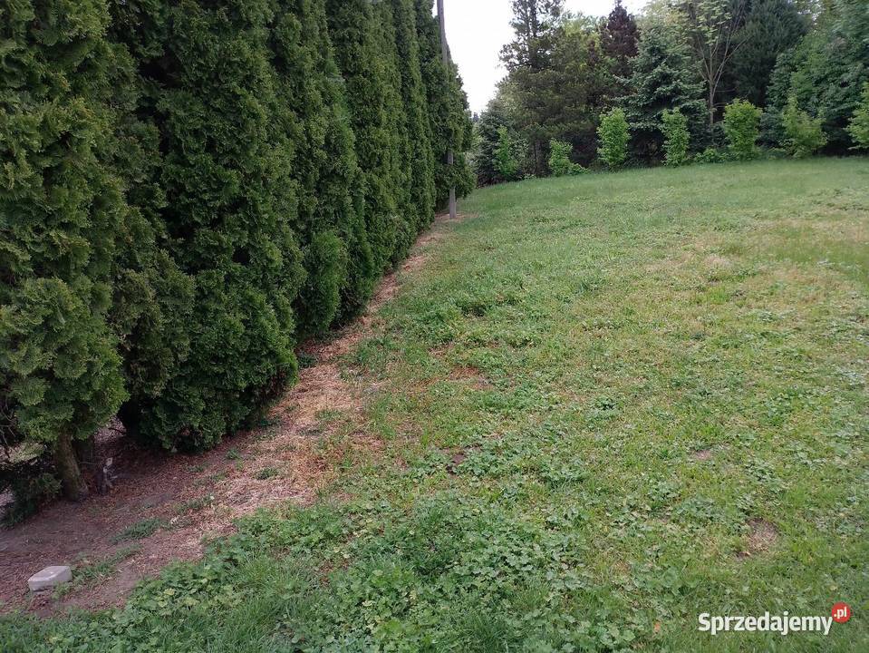 Sobiecin 38500 Jarosław działka budowlana 660 m podkarpackie sprzedam