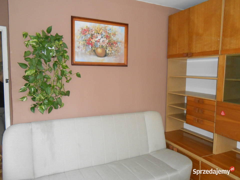 Sprzedam mieszkanie 537m2 3 pokoje AStruga 355 ogródek Radom