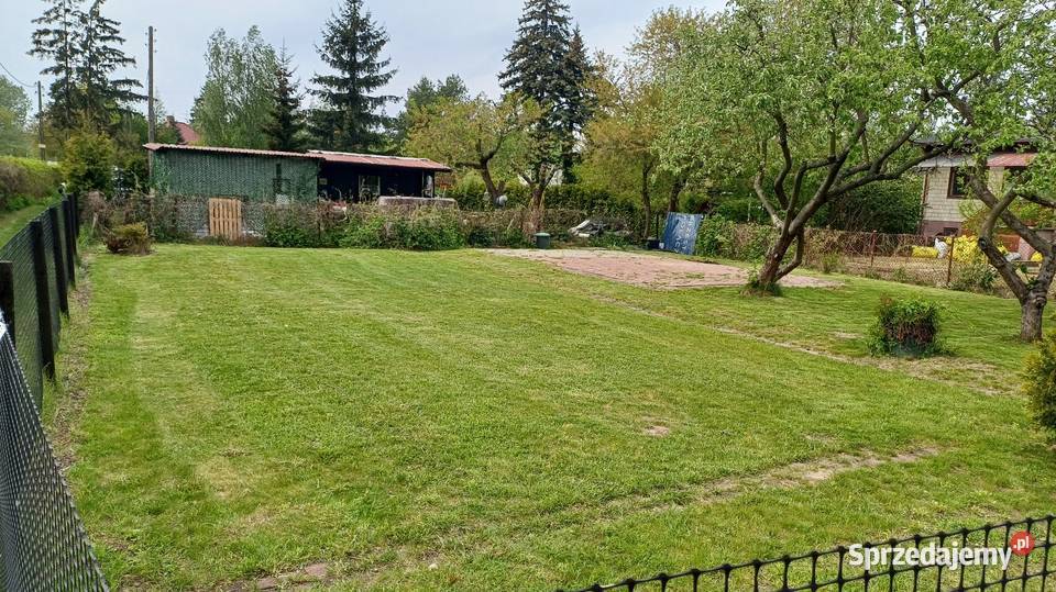 Rodzinne Ogródki Działkowe Sprzedaż Warszawa