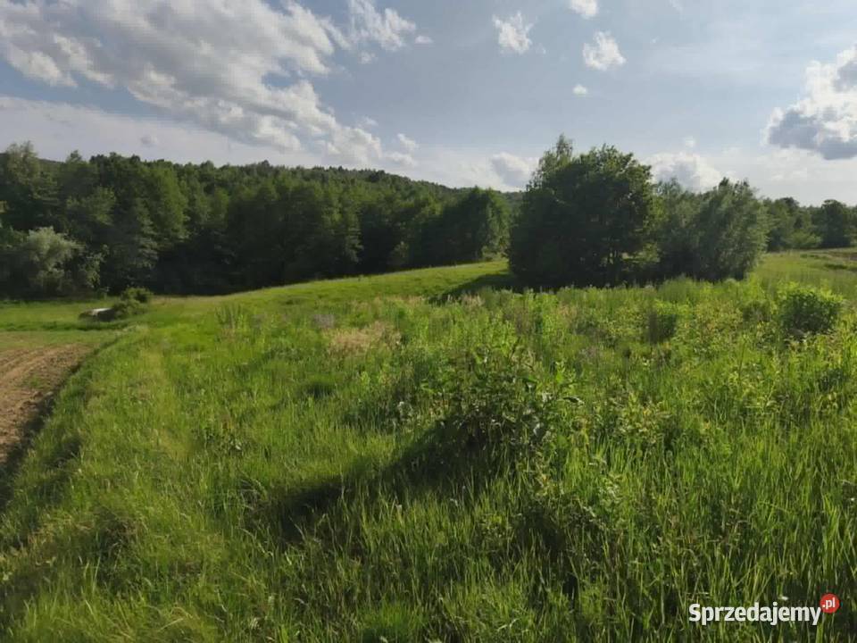 Działka w Lipnicy Dolnej 99 arów Lipnica Dolna