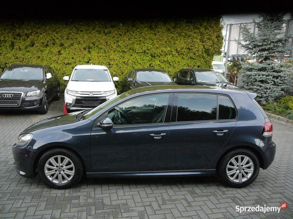 Volkswagen Golf 16tdi Navi Stan b Motoryzacja śląskie Częstochowa