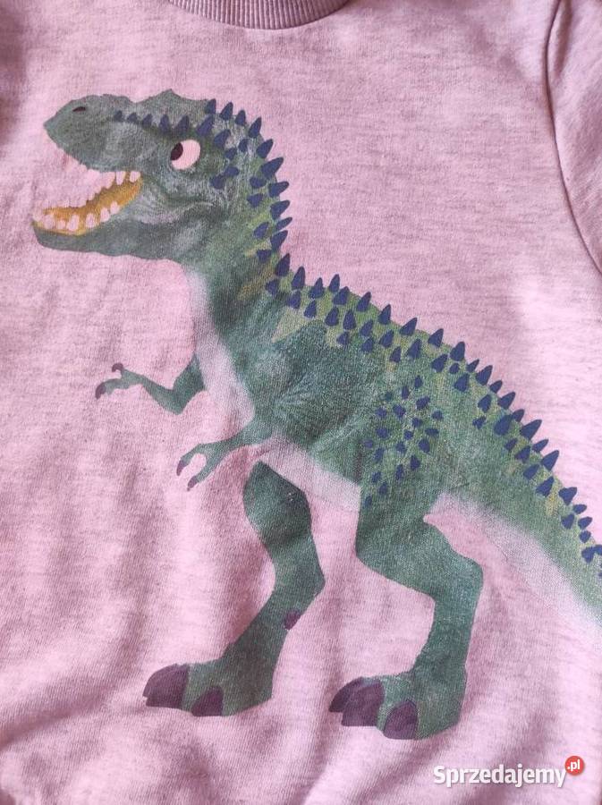 koszulka bluzka bluza dinozaur z dinozaurem Kielce sprzedam