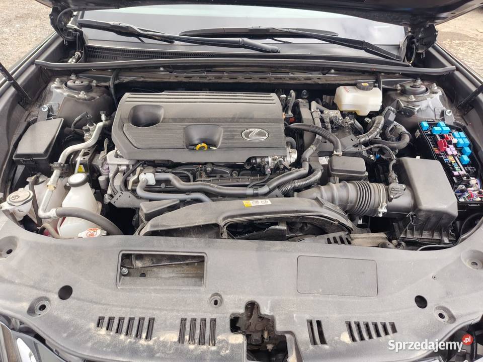 Lexus ES300h 2025