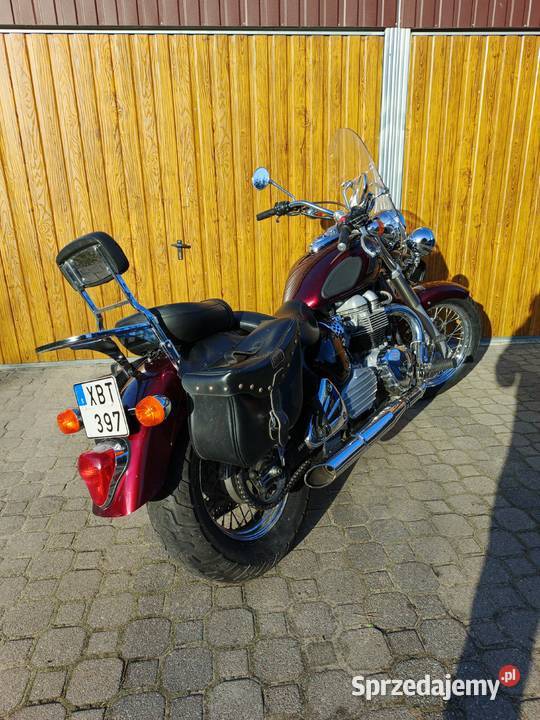 Triumph America 2005 Włodawa