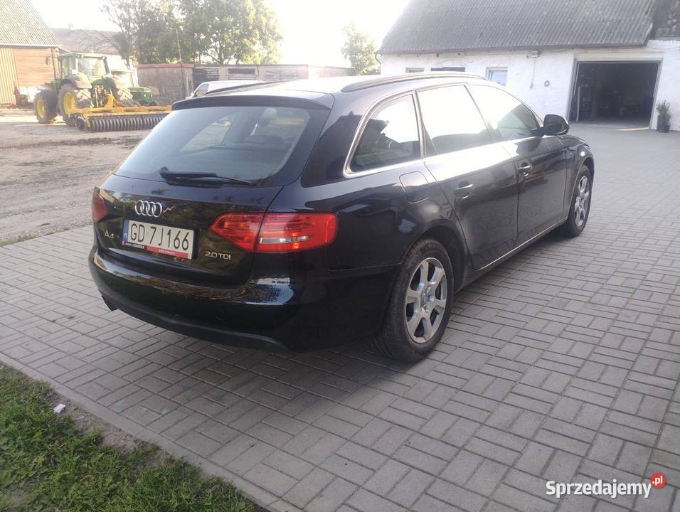 Audi a4 b8 Plesewo
